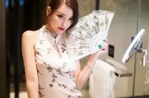 不该瞒着妻子去参加漫展是什么作品？